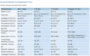 Норма кальция в моче у детей