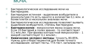Моча на бактериурию как собрать