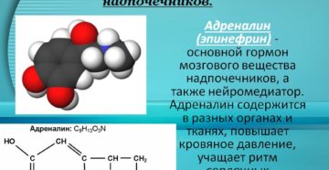 Адреналин гормон надпочечников