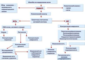 Недержание мочи у ребенка 7 лет при смехе