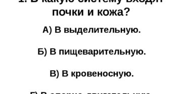 В какую систему входят почки и кожа