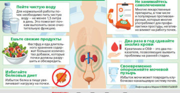 Как определить что почки нормально работают