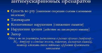 Антимускариновые препараты что это