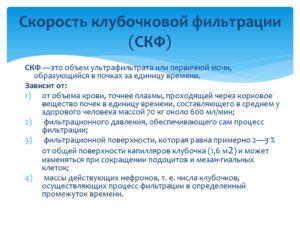 Скорость клубочковой фильтрации это