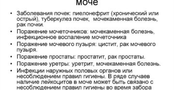 Лейкоциты в моче повышены у ребенка чем лечить