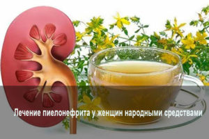 Пиелонефрит симптомы у женщин лечение народными средствами