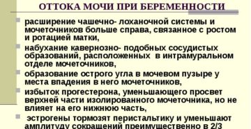Диагностика заболеваний почек у беременных