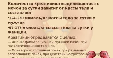 Креатинин в моче концентрация
