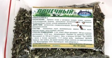 Как правильно пить травы для почек