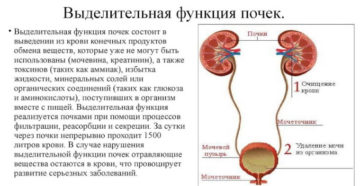 Нарушение экскреторной функции левой почки