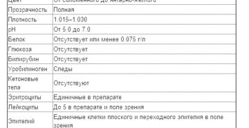 Общий анализ мочи норма у беременных