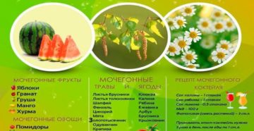 Какие продукты обладают мочегонным эффектом