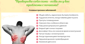 Болит ли от почек спина
