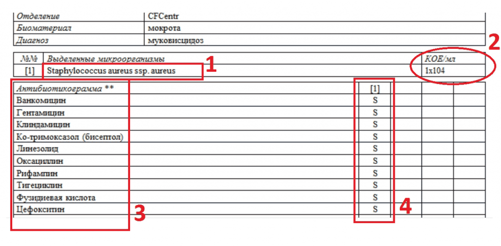 Расшифровка посев на флору с определением чувствительности к антибиотикам