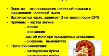 Пиелоцистит что это такое