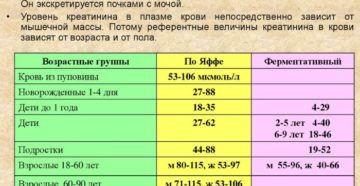 Как повысить уровень креатинина в крови