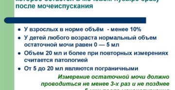Что такое остаточная моча в мочевом пузыре