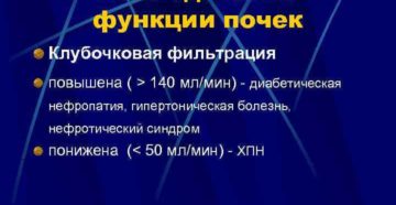 Как повысить клубочковую фильтрацию почек медикаментозно