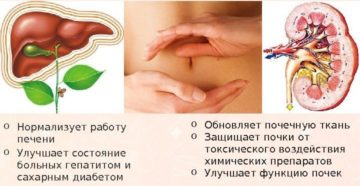 Нормализовать работу почек и печени