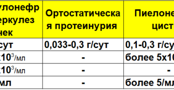 Белок в моче 0 33 что это