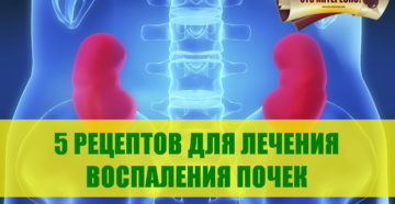 Как быстро вылечить воспаление почек