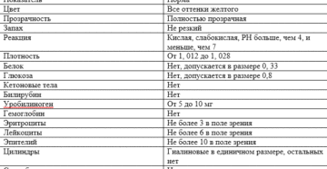 Норма эпителий в моче норма у женщин по возрасту таблица
