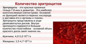 Повышены эритроциты в моче по нечипоренко причины