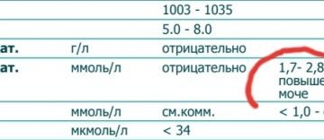 Глюкоза в моче отрицательная что это значит
