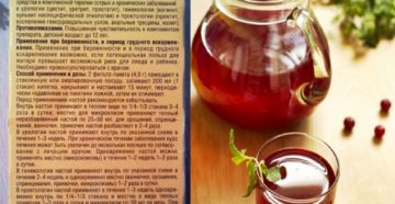 Шиповник при цистите и пиелонефрите