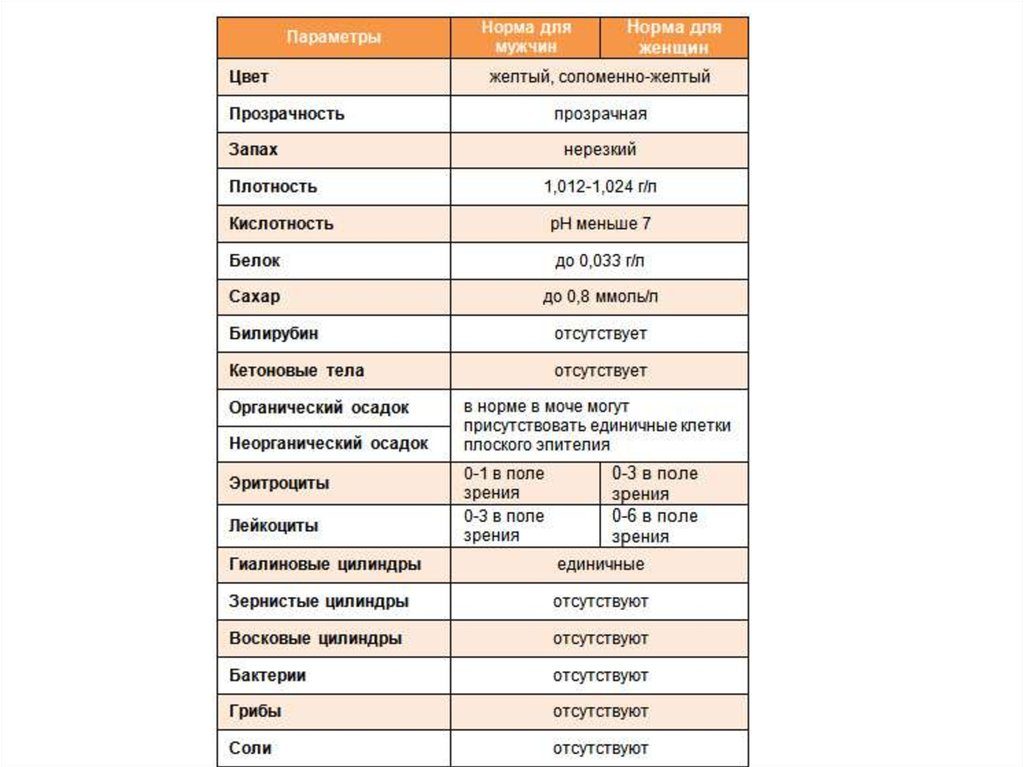 Норма общего анализа мочи у женщин таблица