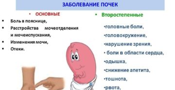 Инфекция почек симптомы