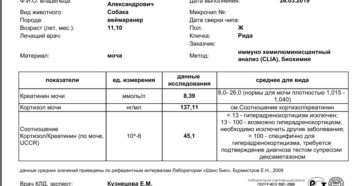 Кортизол в моче у собаки норма