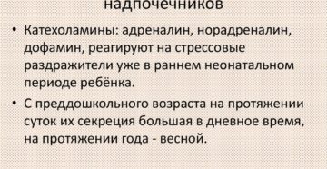 Гормоны мозгового слоя надпочечников