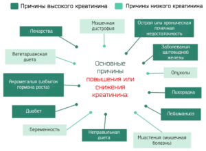 При каких заболеваниях повышен креатинин