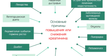 При каких заболеваниях повышен креатинин