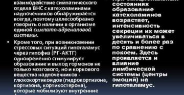 Надпочечники и стресс