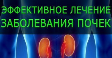 При воспаление почек какие симптомы и как нужно лечить