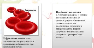 Почечная анемия симптомы