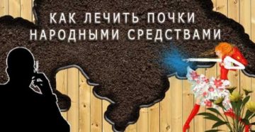 Плохо работают почки лечение народными средствами