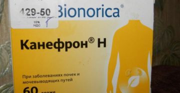Канефрон коту при мочекаменной болезни дозировка