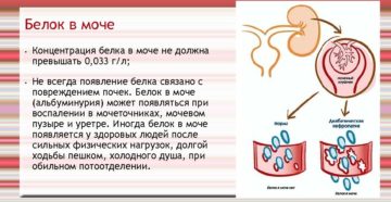 Почему белок в моче у женщин