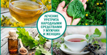Уретрит лечение у мужчин травами