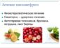 Чем быстро вылечить пиелонефрит