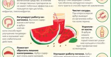 Полезен ли арбуз при больных почках