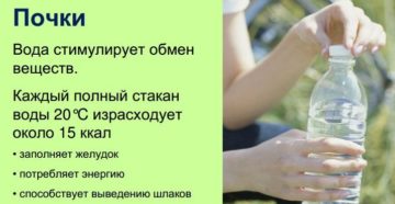 Вода и почки