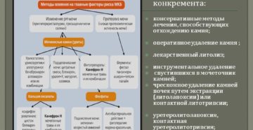 Лечение мочекаменной болезни у человека