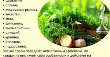 Трава для очищения печени и почек