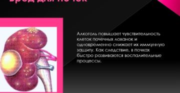 Вред холодной воды для почек