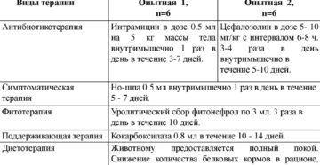 Хронический пиелонефрит у собак лечение