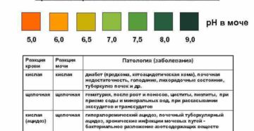 Рн в моче что это значит